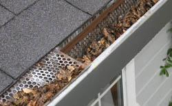 Nettoyage et pose de gouttière 26